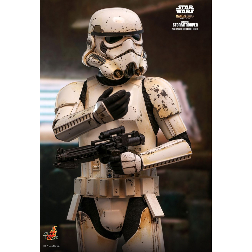 [���ึ�� 01/15] TMS011 - ��Ÿ���� �� ���޷θ��� ����Ʈ ����Ʈ���� 1/6������