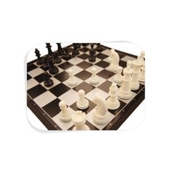 [DASOL]휴대용 자석 체스
