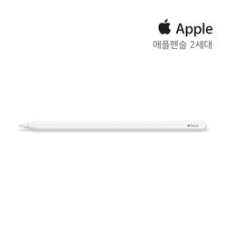 애플 아이패드 프로용 애플펜슬 2세대(MU8F2KH/A)