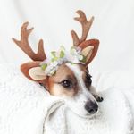 꽃사슴 루돌프 머리띠 크리스마스 고양이 강아지 모자 코스튬