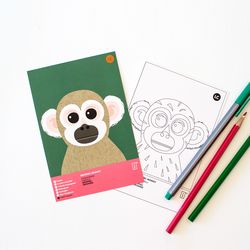 다람쥐원숭이 멸종위기동물 컬러링 엽서 2in1