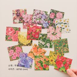 로맨틱핑크 봄하루그림 미니스퀘어 엽서세트