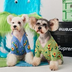 강아지옷 해바라기 꽃무늬 브이넥 가디건 니트 스웨터.