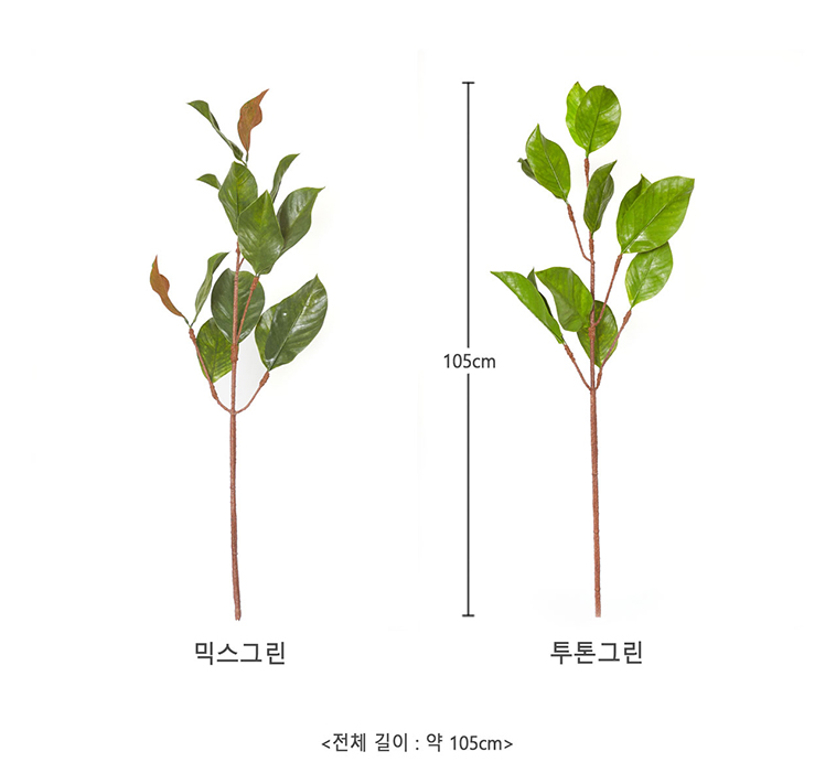 [아이리스] 마그놀리아 목련 가지 플랜테리어 인테리어 조화 :: 1300k 천삼백케이 [아이리스] 마그놀리아 목련 가지 플랜테리어 인테리어 조화